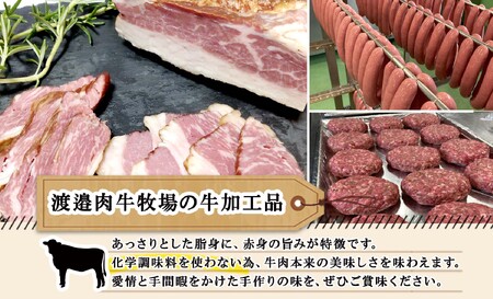 北海道 ビーフ ジャーキー 20g 牛肉 牛 beef 赤身肉 国産牛 肉 加工品 おやつ お菓子 おつまみ 国産 冷凍 詰合せ お取り寄せ 送料無料 十勝 士幌町【W10-1】