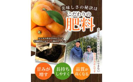 【L～3Lサイズおまかせ】※秀優混合 丹生系みかん 2kg【2027年2月初旬から2月下旬頃までに順次出荷】＜味好農園＞/ 丹生系 にゅうけい みかん 柑橘 果物 フルーツ ミカン 訳あり 秀品 優品【agy004-nyu-2】