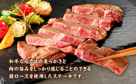 鹿児島県産 黒毛和牛ステーキ 600g K151-010_01 肉 牛肉 冷凍