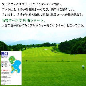 タカガワ西徳島ゴルフ倶楽部 ゴルフ場 利用券 1万円分 プレー券 スポーツ ゴルフ