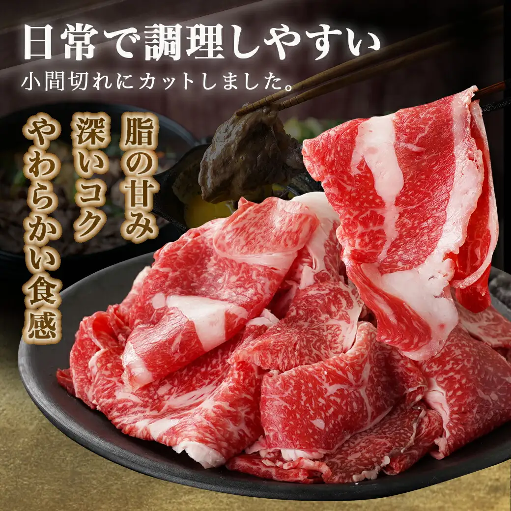 宮崎牛小間切れ500g〔14-N301〕_(都城市) 都城産宮崎牛 小間切れ 肩ロース/モモ/ウデ 500g×1パック 冷凍便 