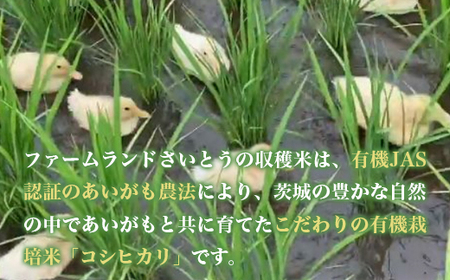 【令和7年産】コシヒカリ 10kg ファームランドさいとう 571