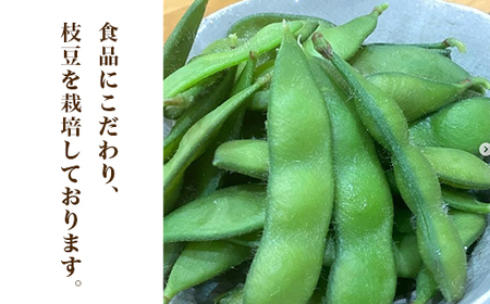 576【先行予約】枝豆 2kg 500g × 4袋 ファームランドさいとう（7月下旬頃より順次発送）