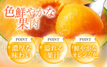 【8月中旬以降順次発送】赤肉メロン2玉 (約2kg/玉)  メロン [AJAK024]