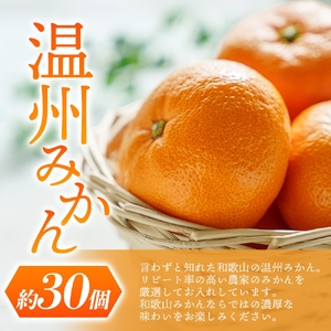 柿 みかん 道の駅くしがきの里セット 富有柿3個・温州みかん約30個の詰め合わせ こだわり農家厳選【2026年11月初旬頃から2026年12月中旬頃順次発送】【KG29】【BK029-kgr022】