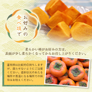 柿 富有柿 赤秀品 大玉 6個～8個入 こだわり農家厳選【2026年10月末から11月末頃に順次発送予定】 / 柿 フルーツ 果物 かき 和歌山 かつらぎ 農家直送 贈答 【BK-kgr043】