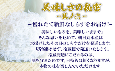しらす 釜揚げ 500g (250g × 2袋) 5月~12月中旬発送 しらす