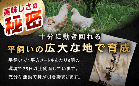 土佐はちきん地鶏ムネ肉 約1kg 【合同会社土佐あぐりーど】[ATBO028]