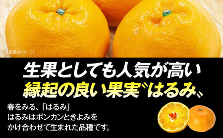 みかんジュース はるみジュース 2本  みかんジュース[AGCT001]