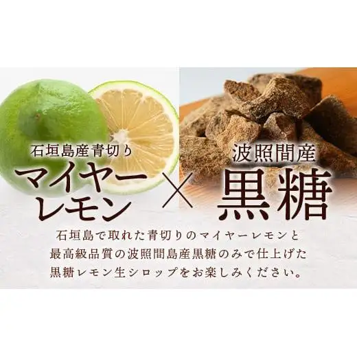 【先行受付】 ≪2026年10月～12月順次発送≫皮まで食べられる!? 果肉入り黒糖レモン生シロップ120ml×2本 TF-48