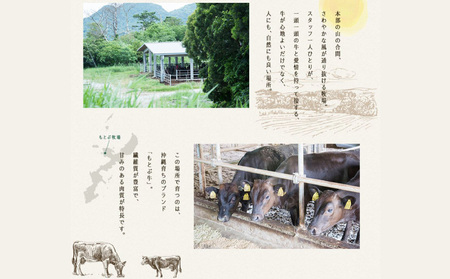 もとぶ牧場ウインナーギフトセット（170g×4パック） 