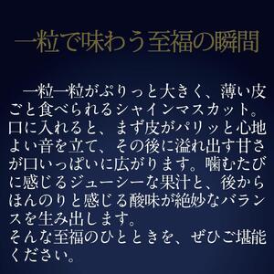 [HS]9月・10月発送  最高級品 シャインマスカット 晴王 1房 約650g ｜  シャインマスカット