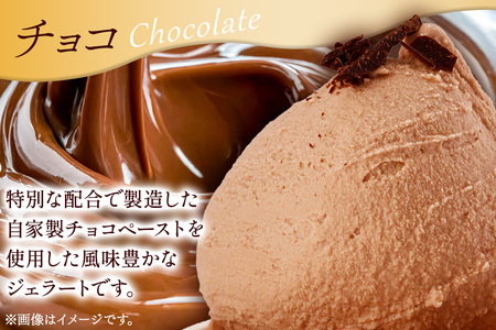 ジェラート チョコ 約100g×8個