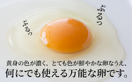 【定期便6ヶ月】たまごの郷奥丹波 10個×3パック