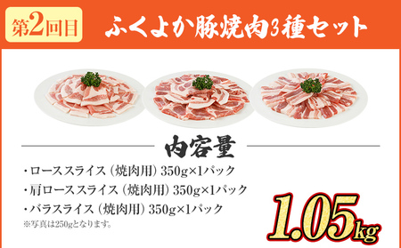 頒布会 豚肉 満足セット ふくよか豚