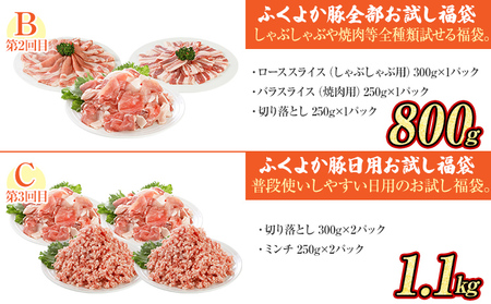 【頒布会】 豚肉ざんまいセット ふくよか豚肉