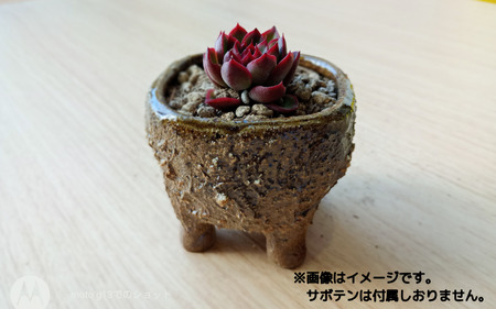 眞名焼 サボテン鉢 小＋大サイズ　｜鳥取 岩美 鉢 丸型 角型【71015】