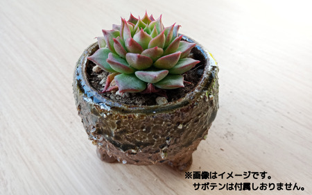 眞名焼 サボテン鉢 小＋特大サイズ　｜鳥取 岩美 鉢 丸型 角型【71016】