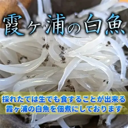 【甘辛がご飯に合う!】白魚くるみ(佃煮) 620g(155g×4パック)_魚介・海産物   _【1592045】