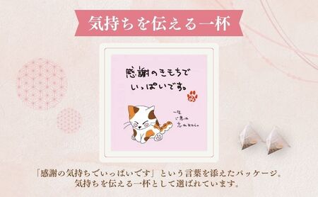 お茶 いしだ茶屋 みたらしちゃん ティーバッグ 和紅茶 猫