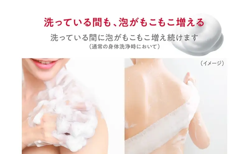 ボディソープ hadakara ( ハダカラ ) 泡タイプ 詰め替え 440ml×8袋 ボディーソープ 泡ボディソープ 泡 日用品 消耗品 バス用品 大容量 いい 匂い ボディ 保湿 LION ライオン 泡石鹸 石鹸 兵庫 兵庫県 小野市
