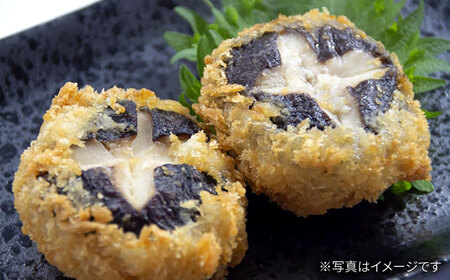 プレミアムきんたろうしいたけ[AQBD001] しいたけ