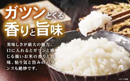 米 コシヒカリ JASオーガニック 5kg 白米 [AQBL009]白米 こしひかり