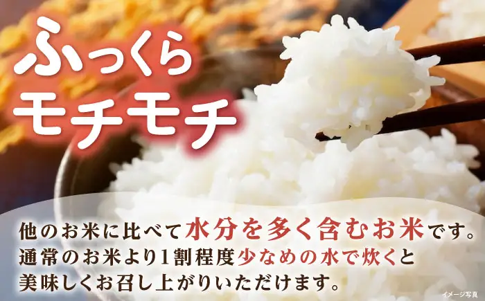 低農薬栽培 ミルキークイーン 白米5kg[AQBL023] 白米