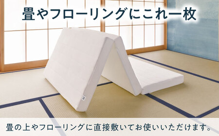 【マット枕セット】エアウィーヴ スマートZ01 ダブル＆ピローソフト[AQBV171] 寝具