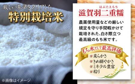 滋賀県産【特別栽培米】もち米 羽二重糯 3kg[AQCQ007] もち米