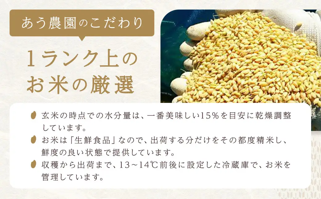 【令和7年産】自然環境米 鬼北のせせらぎ（コシヒカリ） 5kg 米 お米 コメ こめ 白米 ご飯 ごはん 飯 愛媛県【えひめの町（超）推し！（鬼北町）】（391-2）