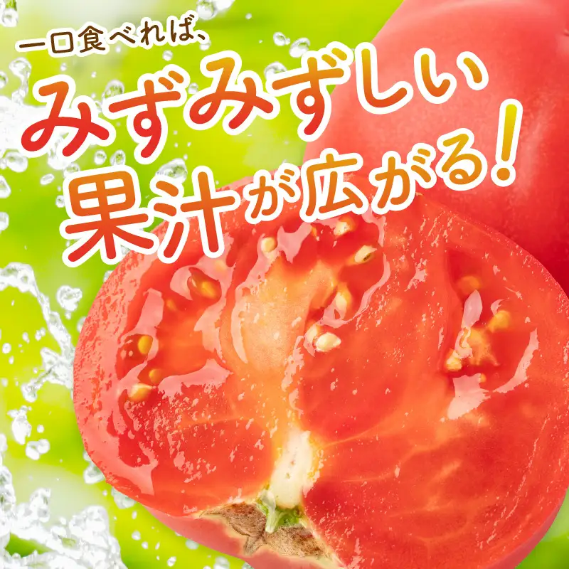 【トマト】大玉春夏トマト 1kg（2026年5月中旬～発送）