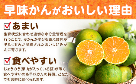 みかん 早味かん 約4kg  南国フルーツ株式会社【26年度出荷】《9月中旬-9月下旬頃出荷》福岡県 鞍手町 福岡県産 みかん 早味かん フルーツ 果物 