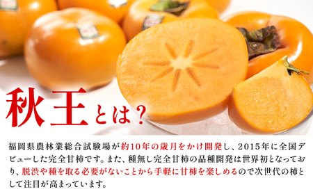 柿 秋王 約3kg（8-12玉） 南国フルーツ株式会社【26年度出荷】《10月下旬-11月末頃出荷》福岡県 鞍手町 福岡県産 柿 フルーツ 果物