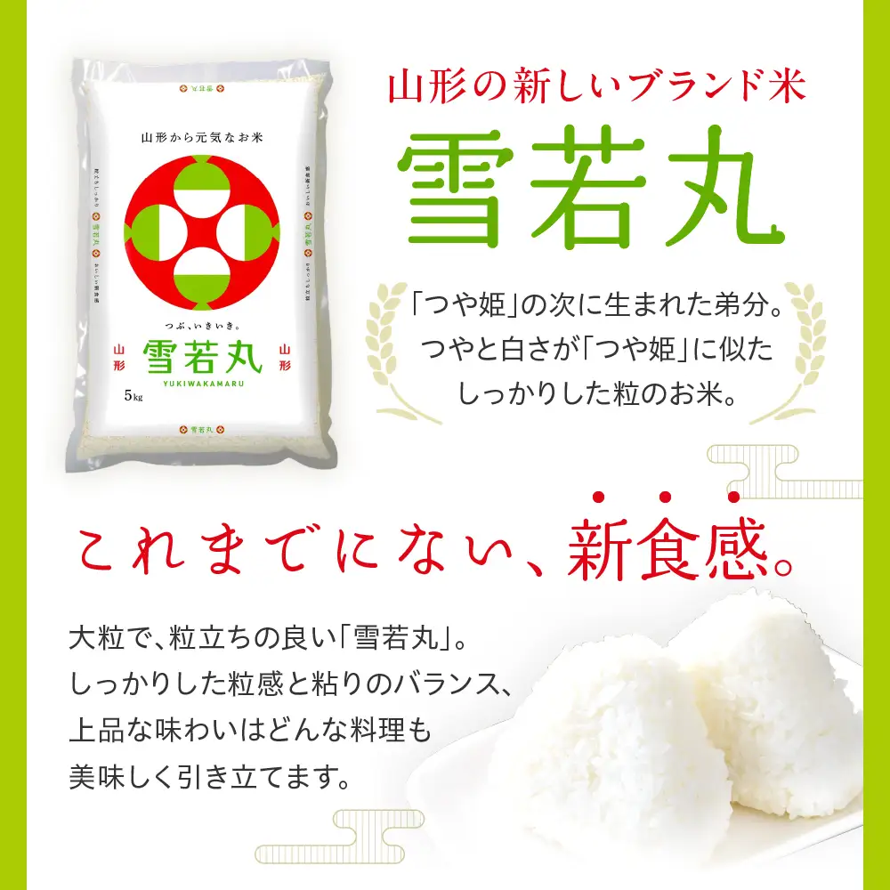 令和7年産 山形県産 雪若丸 10kg 精米 雪若丸