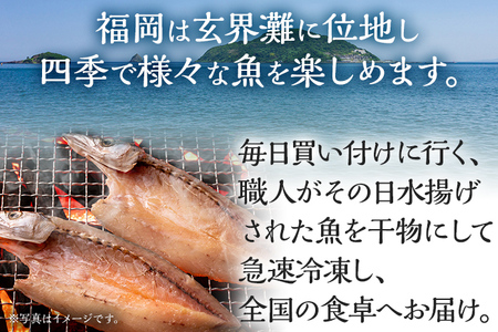 訳あり干物セット 訳あり 訳アリ 干物 魚 海鮮 カマス サバ 鯖 さば ひもの 冷凍 季節のおすすめ おかず 和食 玄界灘 福岡 グリル 約400g 2枚 開き お取り寄せ 食べ比べ おつまみ 肴 グルメ お取り寄せグルメ