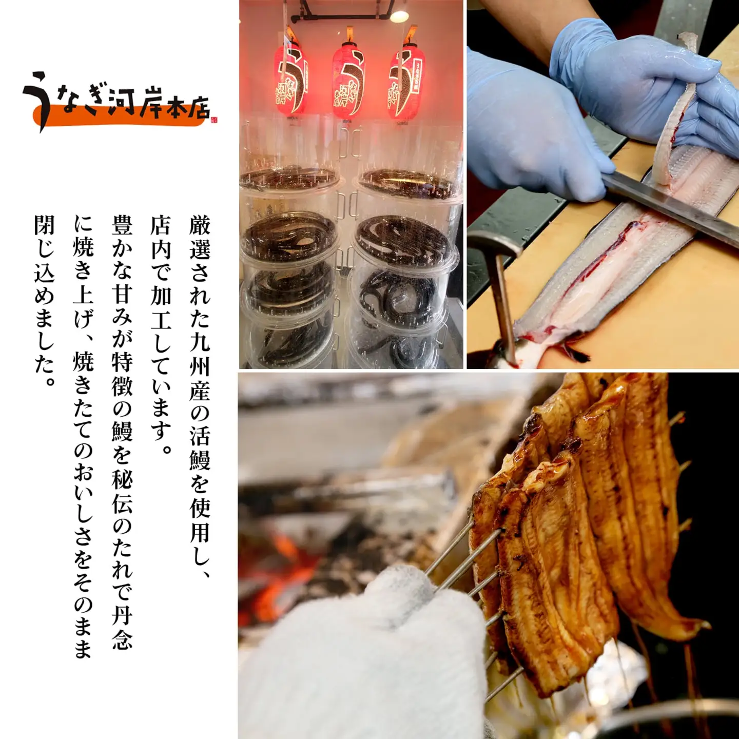 K2546 うなぎ河岸本店 【国産】 鰻蒲焼き 4尾 山椒/タレ付 ウナギ