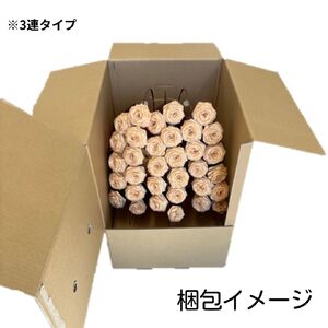 【就労継続支援】 ひのきろうず 胡蝶蘭 3連タイプ 鉢付き 富士檜 インテリア ギフト 贈答 プレゼント 雑貨 日用品 富士市 【配送不可地域：沖縄本島・離島】 [sf068-031]