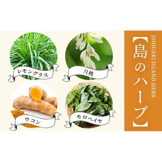 チャンプルの素　25g　瓶入×3本　PN-1