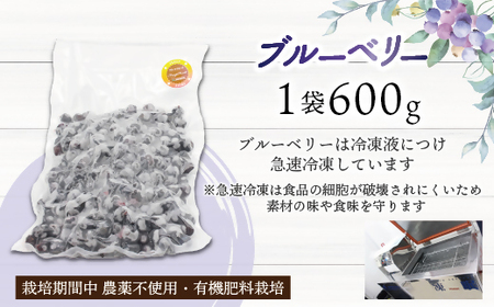 【2026年7月より順次発送】冷凍あまおう800g ＆ 冷凍ブルーベリー600gセット 計1.4kg【JAほたるの里】_HA1653