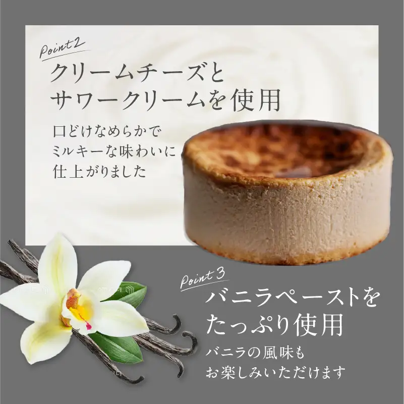 PATISSERIE ASAKO IWAYANAGI 特製 バスクチーズケーキ / チーズケーキ スイーツ 洋菓子 バスチー_0002-007-se5