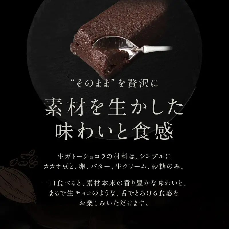 チョコレート専門店「MAGIE DU CHOCOLAT」至極の生ガトーショコラ【スイーツ チョコレート チョコレート菓子 焼き菓子 ガトーショコラ 生ガトーショコラ 濃厚 とろける 人気 おすすめ ギフト プレゼント 贈り物 ご褒美 贅沢】_0010-003-se4