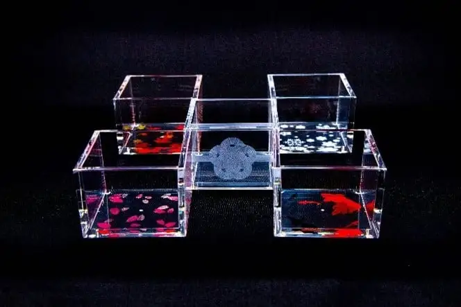 【TOMONARI】アクリル升 mas/mas（マスマス）0.3合枡　5個セット　四季柄【世田谷みやげ】升 食器 酒器 コップ セット 日用品 工芸品 インテリア アクリル お土産 小物入れ 小物 ギフト プレゼント 贈り物_0049-005-se5