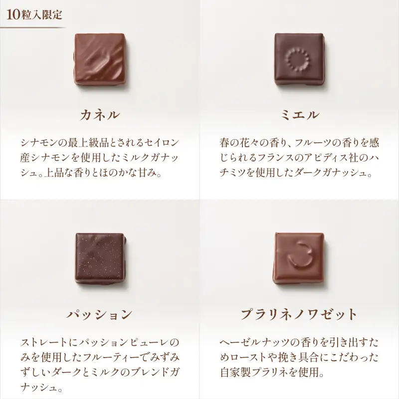 【LIFENRI】ボンボンショコラ 10粒入【スイーツ チョコ チョコレート チョコレート菓子 ショコラ 詰め合わせ ギフト プレゼント 贈り物 贅沢 ご褒美】_0062-004-se6