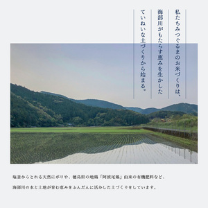 先行予約【定期便】 日本晴 白米 5kg×3回 3ヶ月連続 天然にがり栽培 にっぽんばれ 希少 品種 お寿司 ピラフ チャーハン【2026年10月より順次発送】