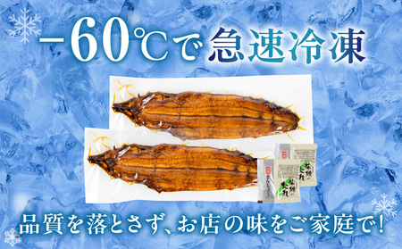 【厳選】三河一色産炭火焼青うなぎ　蒲焼2尾320g以上・U045