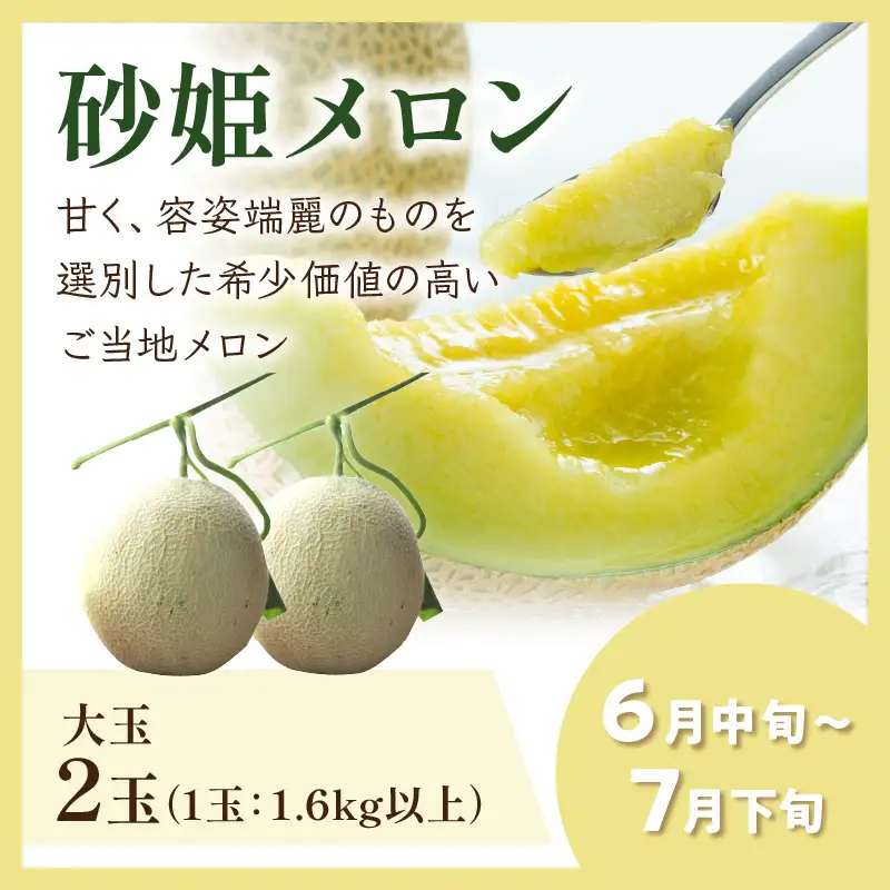 厳選メロン食べ比べセット（2026年6月下旬～） メロン