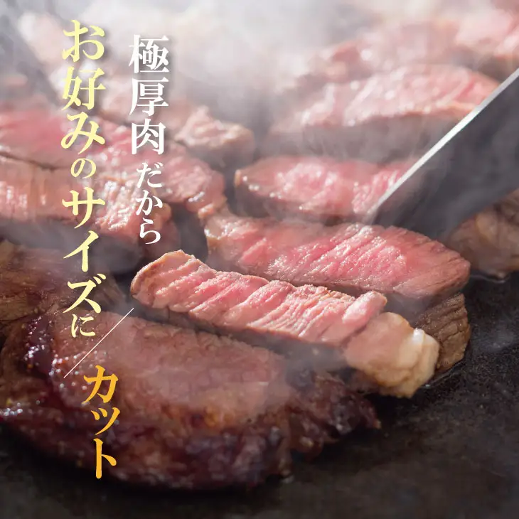 佐賀産和牛ロースブロック肉（500g）潮風F 極厚 ロース ブロック C250-007