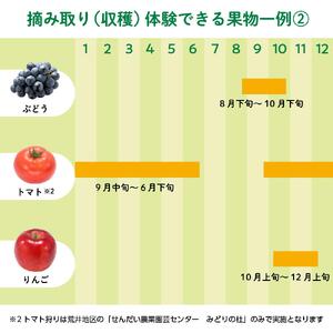 旬の果物摘み取り体験チケット　1回5,000円分　【チケット 券 人気 おすすめ 】