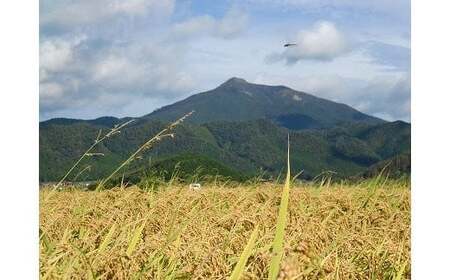 A097 維新の一粒5㎏×6袋（白米）